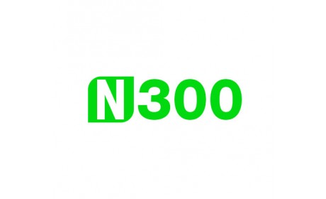 N300